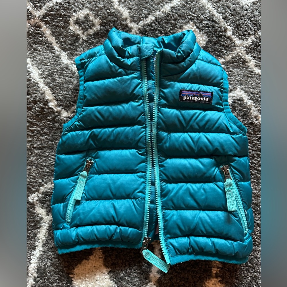 Baby Patagonia Down Sweater Vest (3-6 months)